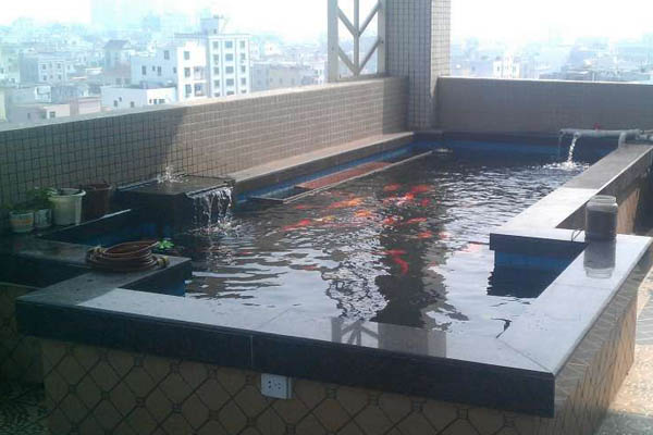 錦鯉魚(yú)池15.JPG