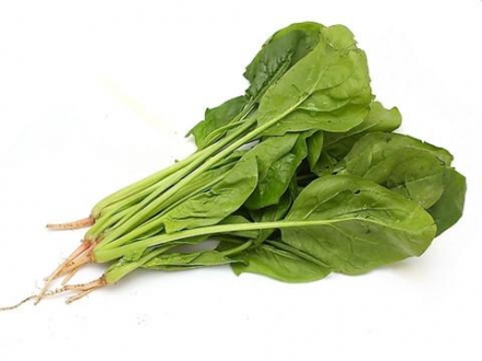 菠菜